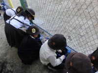 球根を植えています