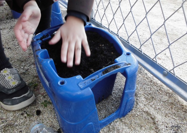 土をかぶせています