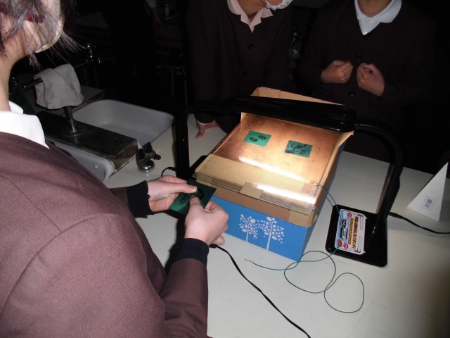 プリンターの仕組みを実験中