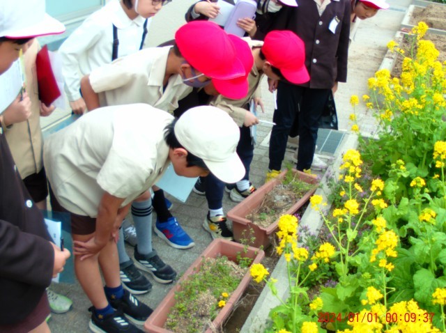 春の生き物に夢中です！