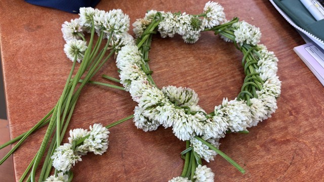 シロツメクサの花冠