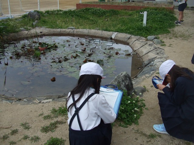 よく見て書こう