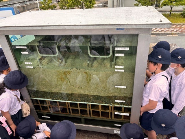 水槽の中はこうなっているんやって～！