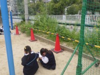 見つけた春の絵を描いたよ。