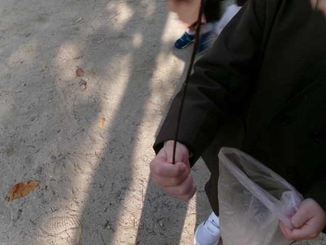 木の枝も見つけたよ