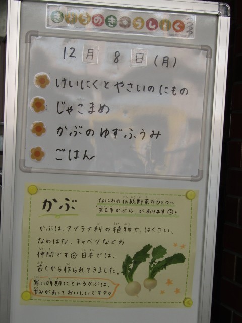 今日は鶏肉と野菜の煮物です。