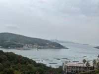 ホテルロビーからの風景