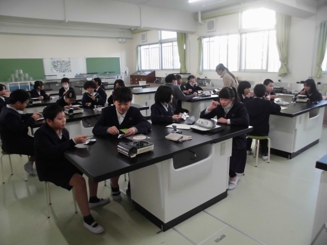 科学クラブ（べっこう飴づくり）