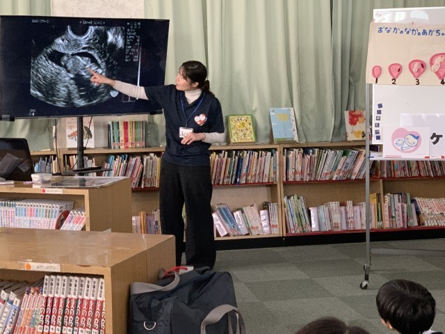 おなかの中の赤ちゃんのようす