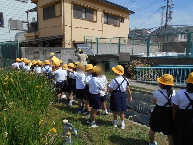 １年