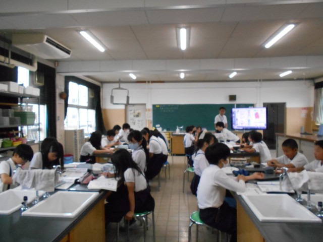 ６年