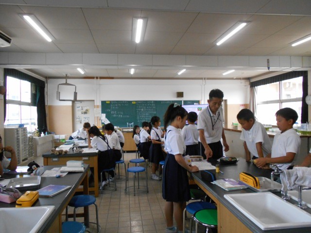 ６年
