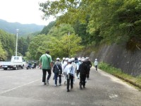 ５年