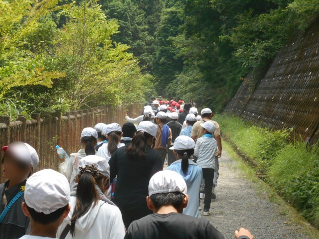５年