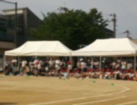 「４年生の本気　見せたるで！！」