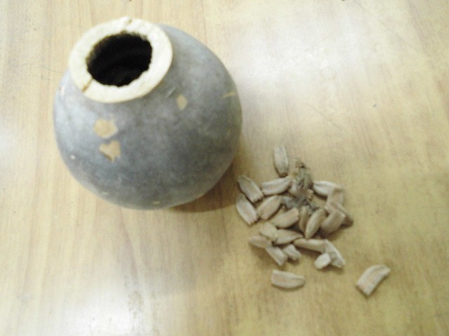 ヒョウタンの中の種