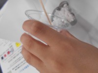 クエン酸と重曹をまぜて型にいれます。