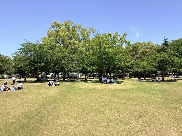 オリエンテーリングの後はお楽しみのお弁当タイム