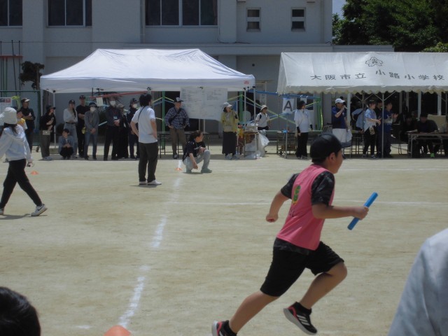 イオ　タルリギ