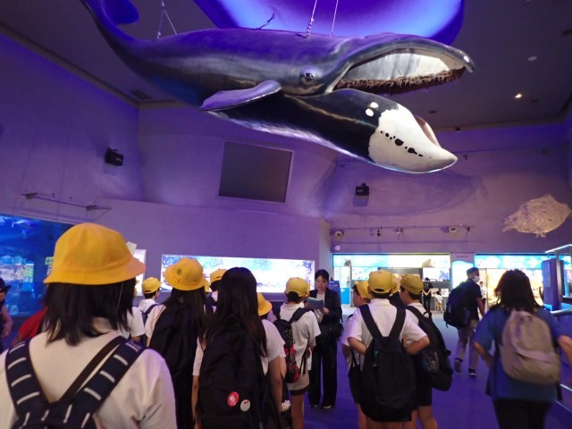水族館