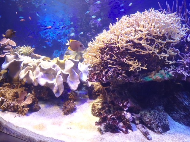 水族館
