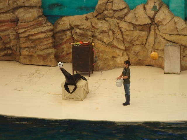 水族館