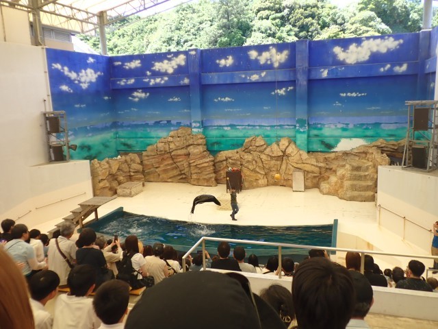 水族館