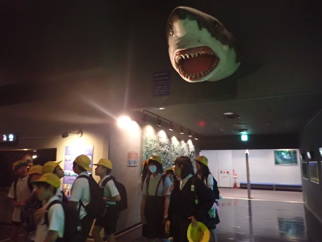 水族館