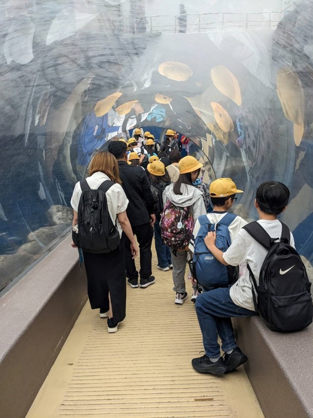 鳥羽水族館にて