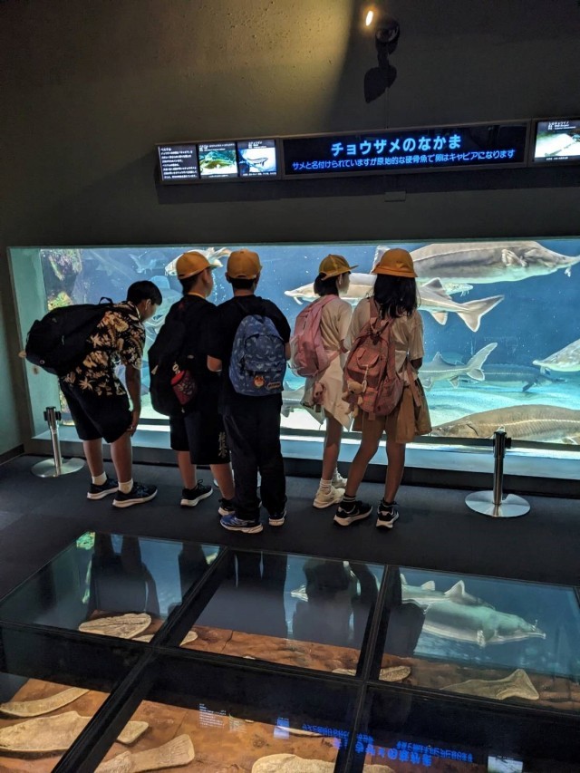 鳥羽水族館にて