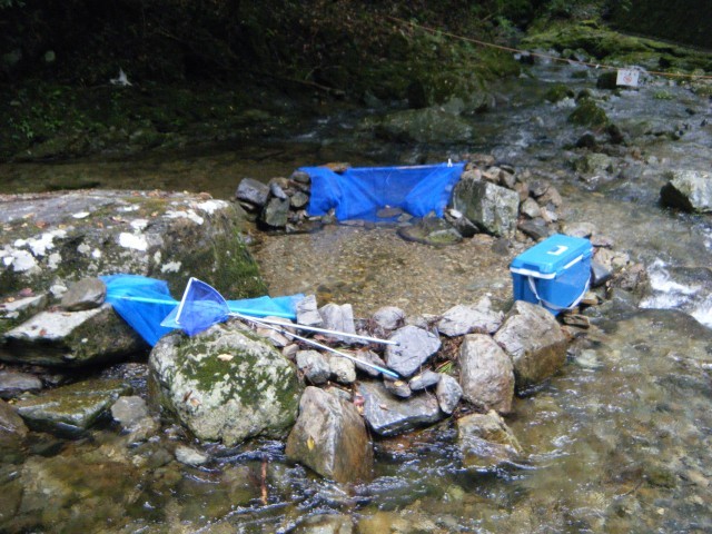 魚つかみ場
