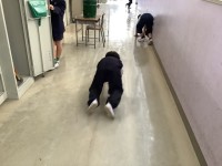 ２年生　ろうかもピカピカです！