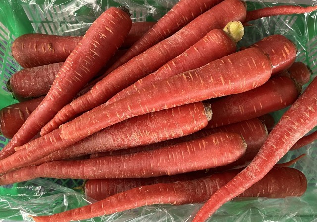 金時にんじん