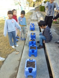 １年生　アサガオの水やり