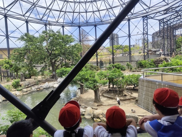 鳥の楽園