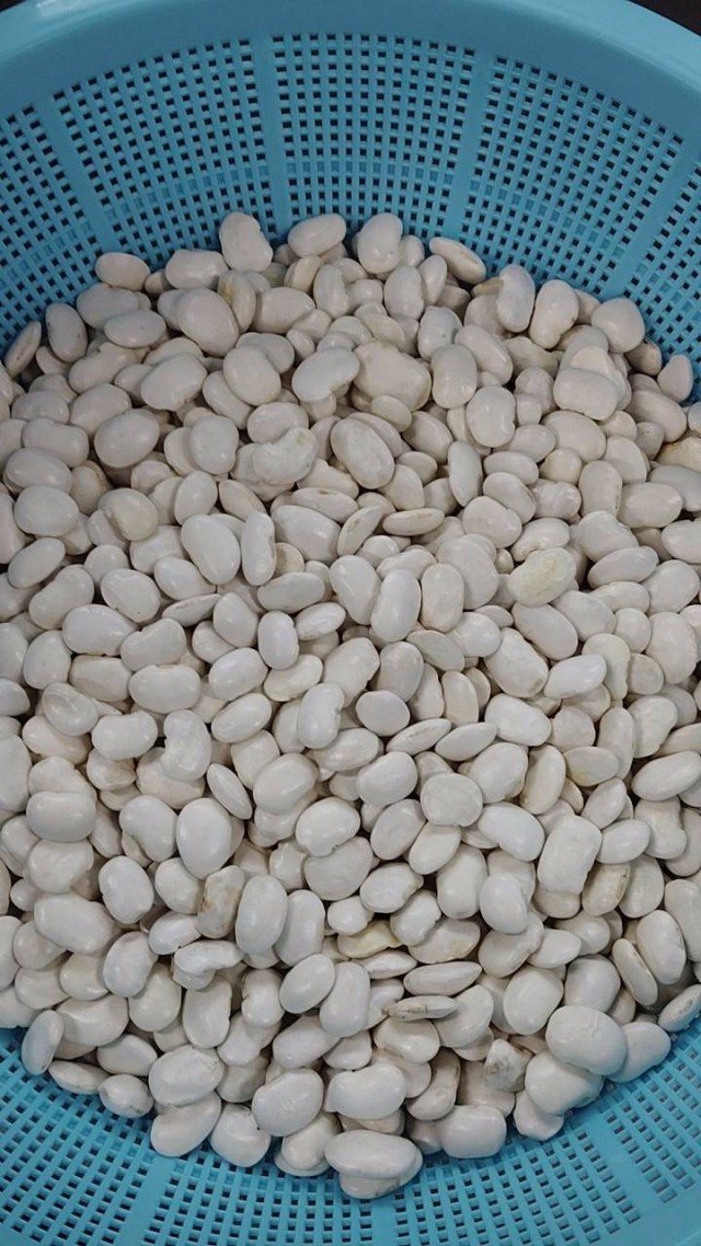 白花豆（調理前）