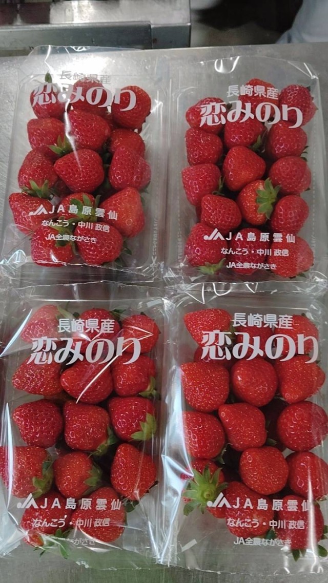 長崎県産いちご　恋みのり