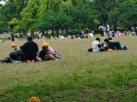 お弁当の時間