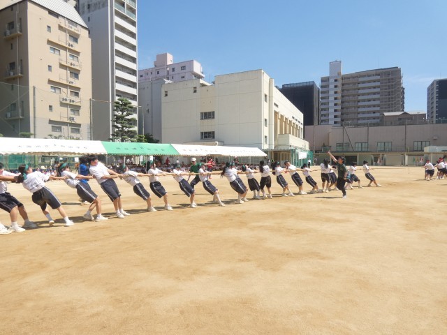 ２年学年種目「レスキュー綱引き」