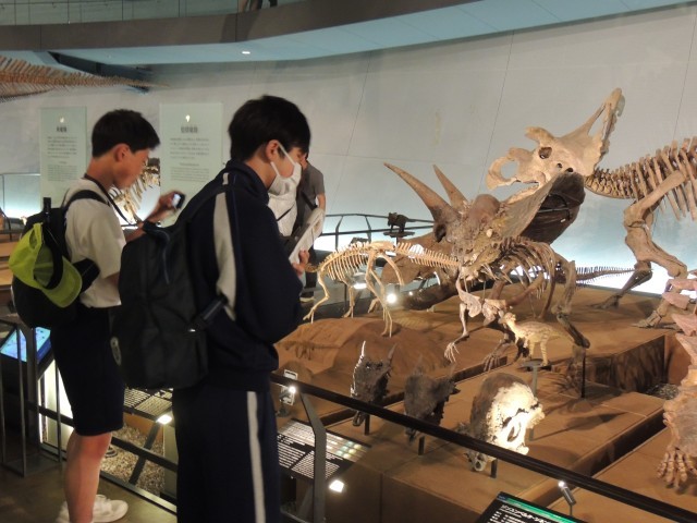 恐竜博物館見学