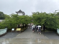 石川橋から入場