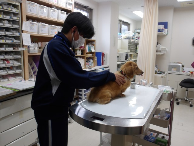 動物病院