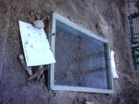 校内ミニビオトープ