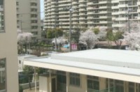 校舎の窓から会場を見た様子