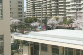 校舎の窓から会場を見た様子