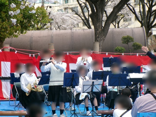 演奏の様子（Soli）