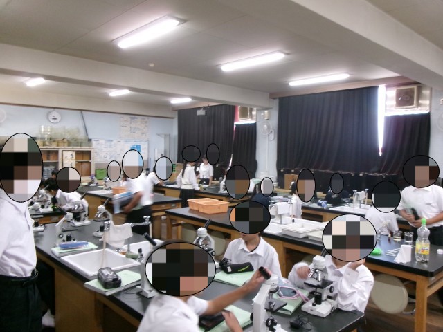 観察中