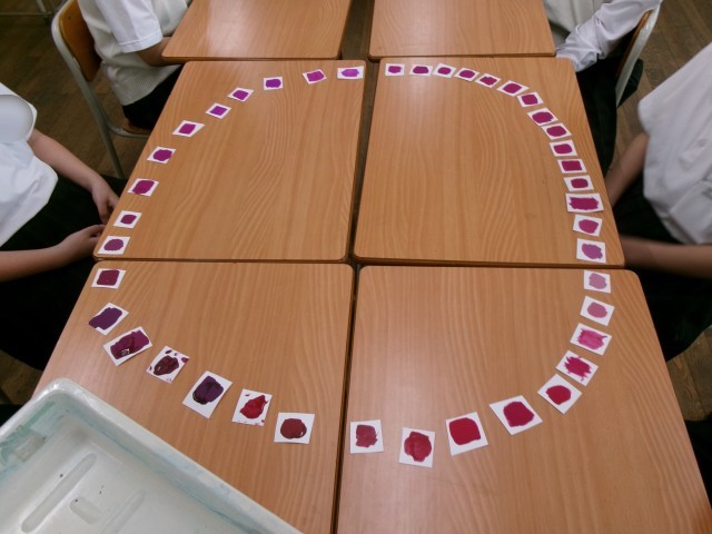 色を輪の形に並べる様子