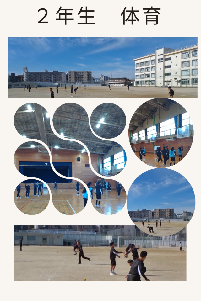 男子Tボール・女子バスケットボール