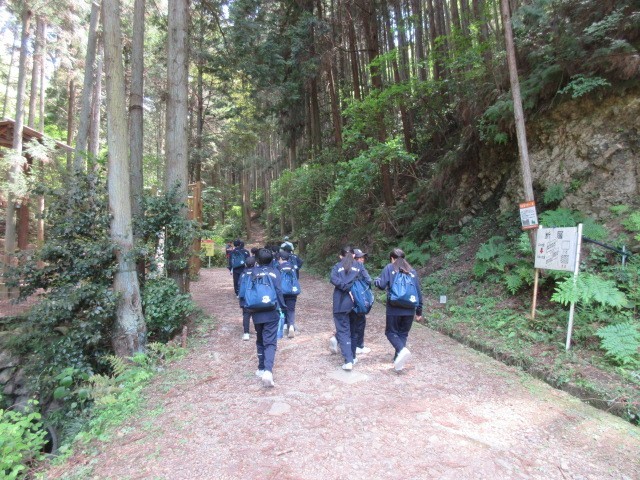 登山